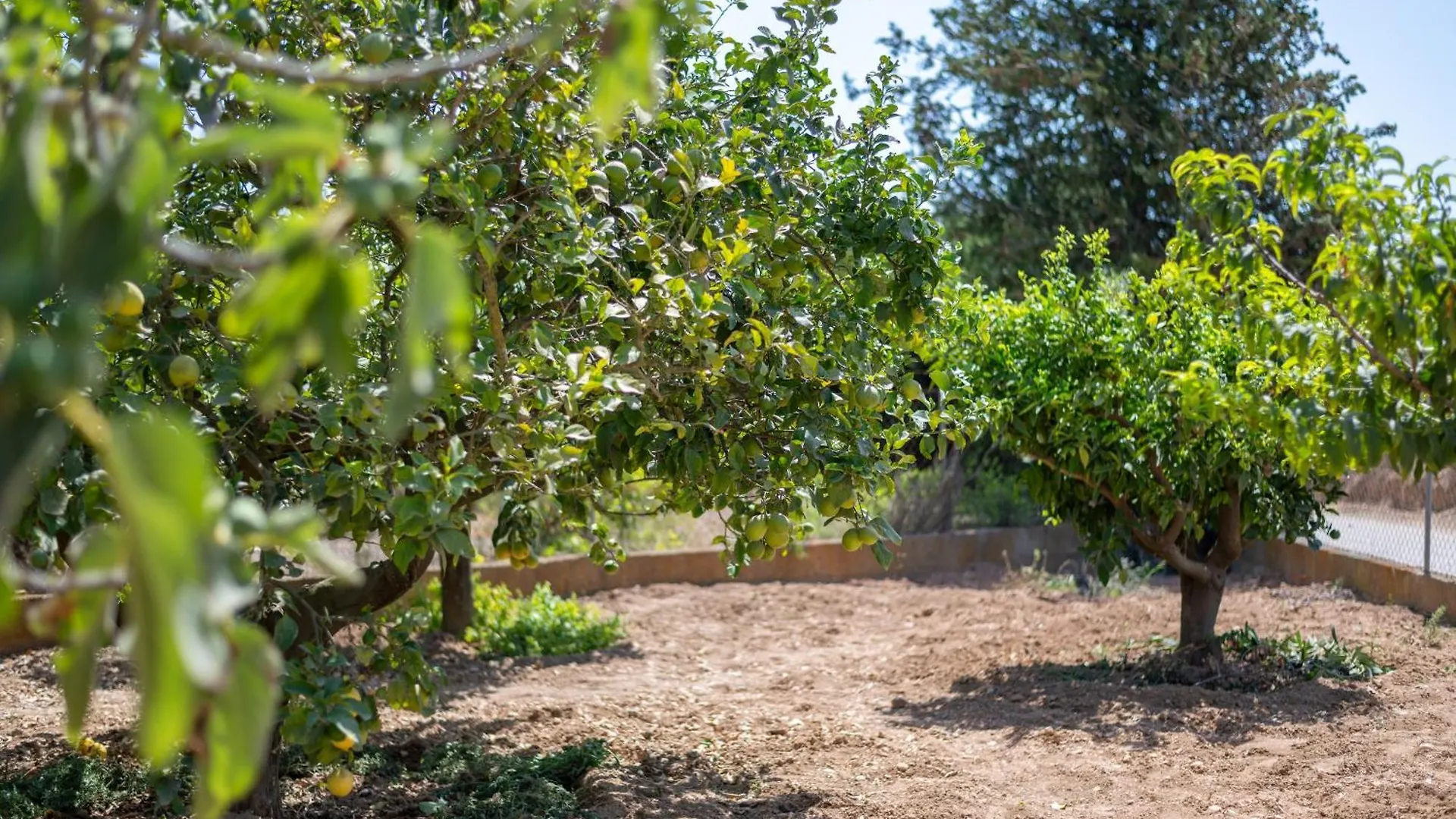 Σπίτι διακοπών Es Viola Βίλα Santa Eugenia Ισπανία